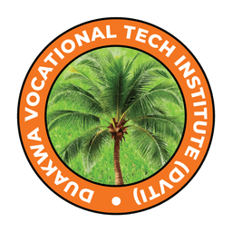 DVTI Logo