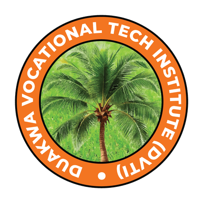 DVTI Logo