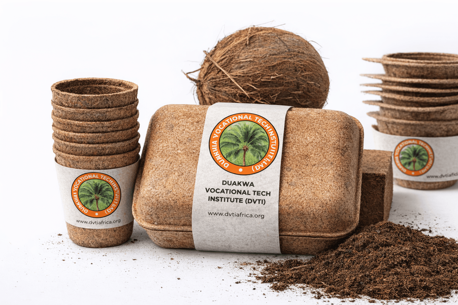 Coconut Processing